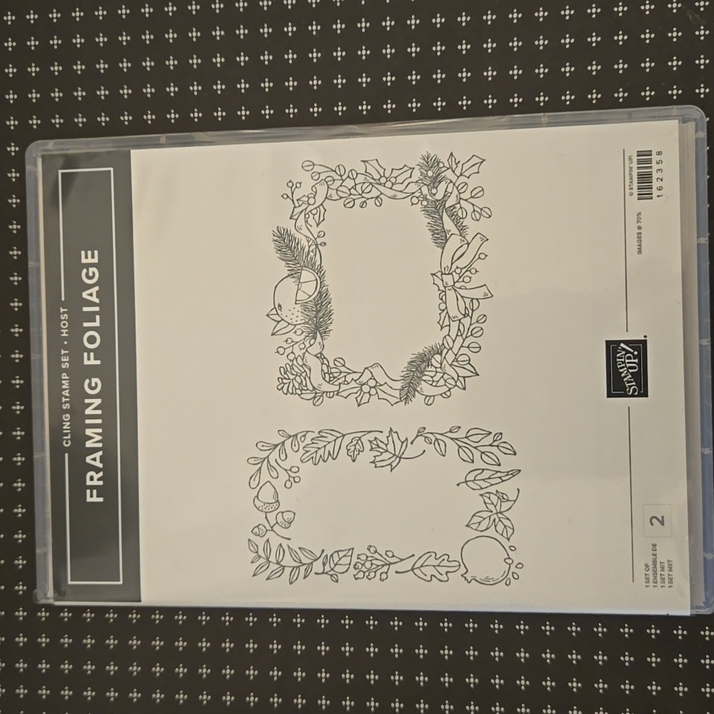 Stampin Up Framing Foliage Rubber Stamp Set